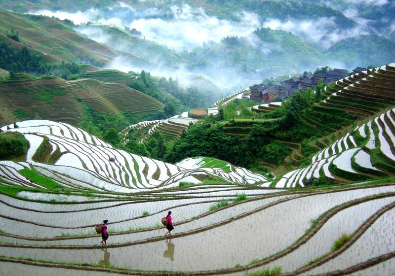 6月2-3日活动召集：穿越龙脊天梯、游走在天上人间(本周遇雨延期至下周，静待好天气！)38 / 作者:燕妮 / 帖子ID:17838