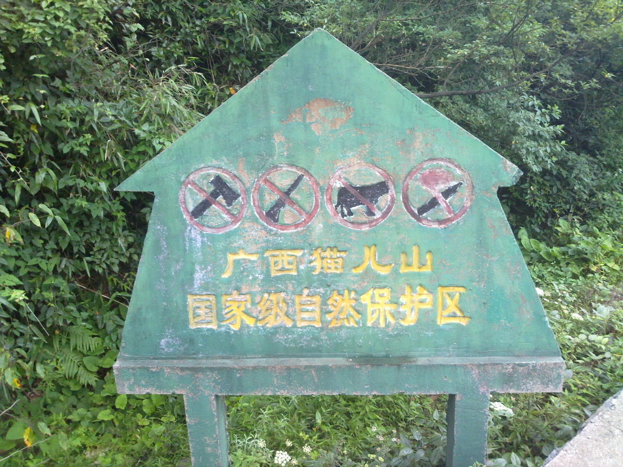 2011年8月7日兴安猫儿山之行310 / 作者:金网 / 帖子ID:17978