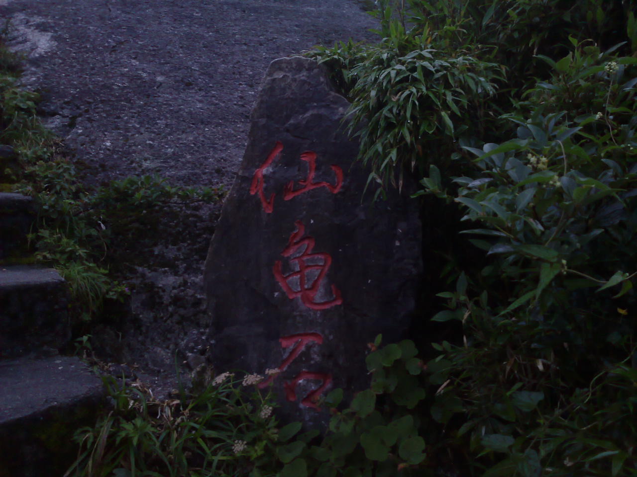 2011年8月7日兴安猫儿山之行934 / 作者:金网 / 帖子ID:17978