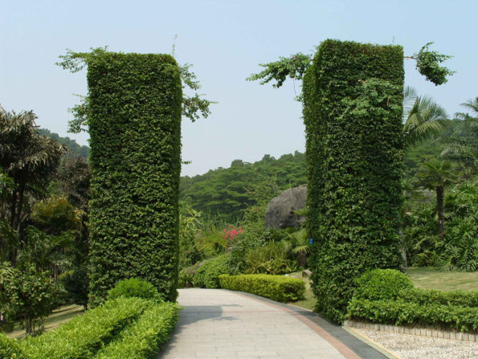 美呆了 园丁也疯狂332 / 作者:恭城名角 / 帖子ID:18001