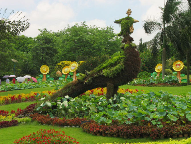 美呆了 园丁也疯狂622 / 作者:恭城名角 / 帖子ID:18001