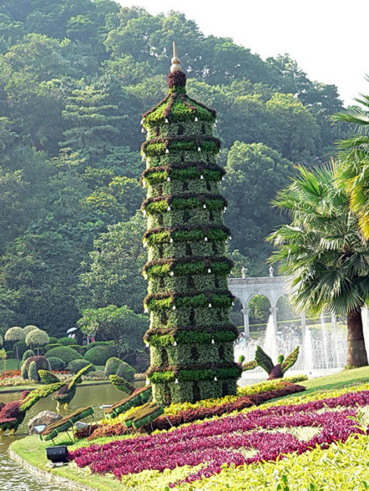 美呆了 园丁也疯狂953 / 作者:恭城名角 / 帖子ID:18001