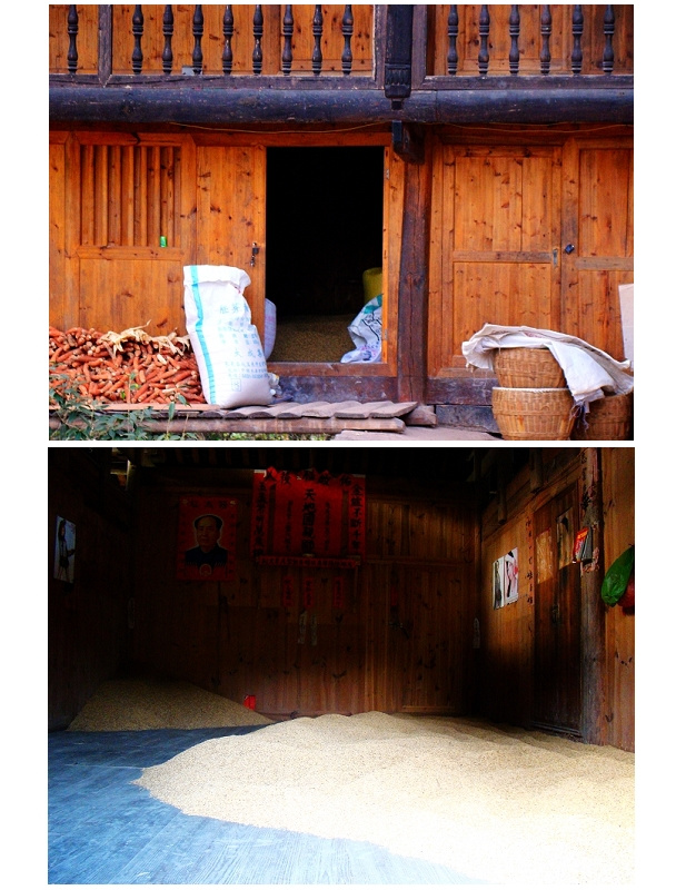 忙碌的村庄742 / 作者:天涯孤独客 / 帖子ID:18033