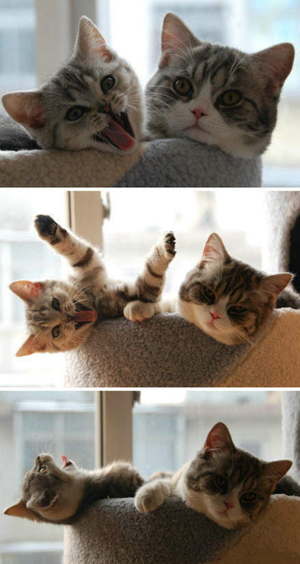 对今天的抢楼活动有感3 / 作者:Kiki / 帖子ID:18105