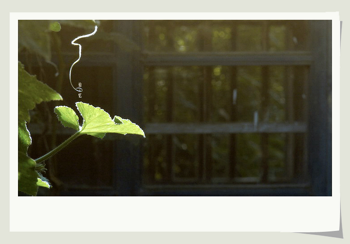 走走.拍拍.看看。203 / 作者:講不醜 / 帖子ID:18107