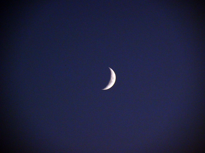 夕阳醉了.....34 / 作者:天涯孤独客 / 帖子ID:18121