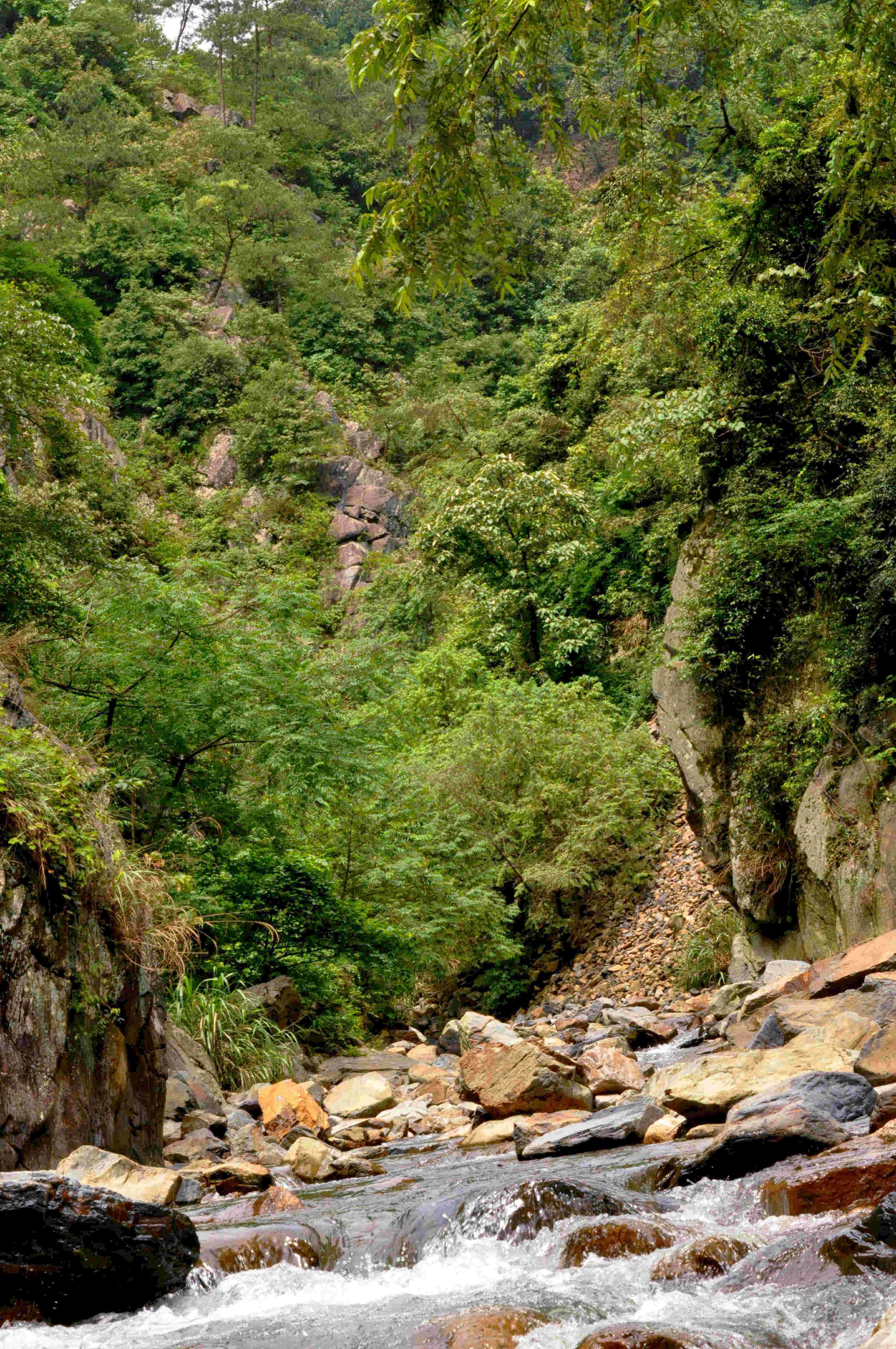 加会大山上蕉峡谷风光144 / 作者:油茶之都 / 帖子ID:18128