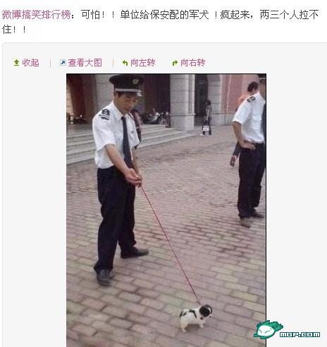 雷图直播，相当给力的491 / 作者:翠峰紫阳 / 帖子ID:18161