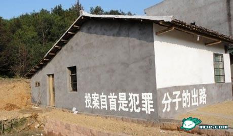 雷图直播，相当给力的237 / 作者:翠峰紫阳 / 帖子ID:18161