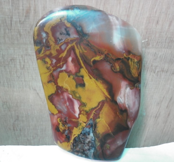 石界一颗新崛起的新星224 / 作者:风小小 / 帖子ID:18255