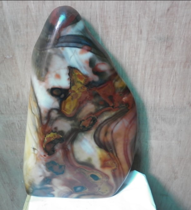 石界一颗新崛起的新星712 / 作者:风小小 / 帖子ID:18255