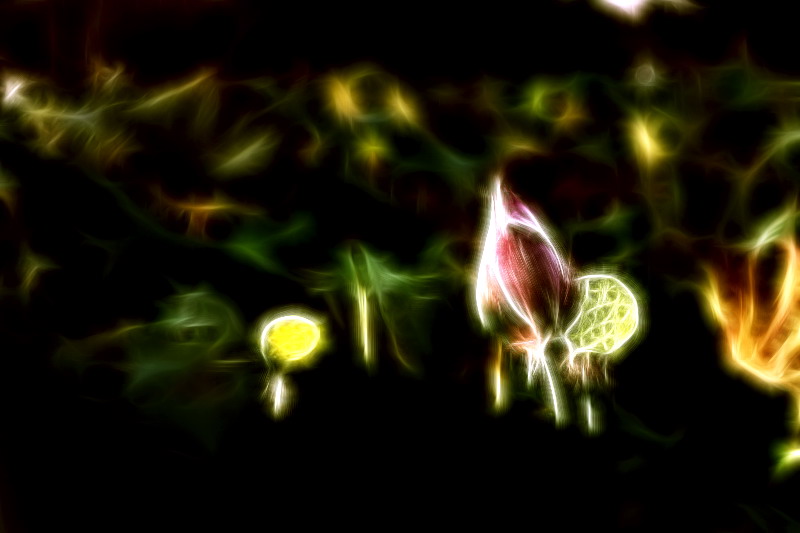 荷。873 / 作者:講不醜 / 帖子ID:18454