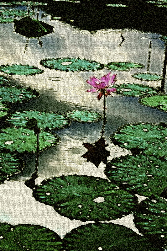 荷。319 / 作者:講不醜 / 帖子ID:18454
