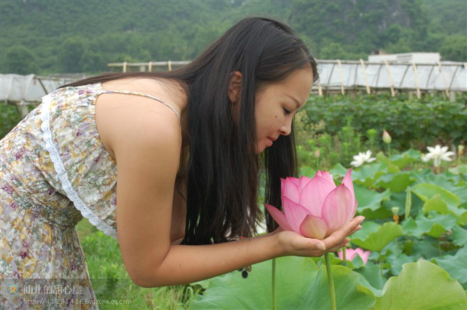 5月24日邓扒荷塘游玩精彩片段670 / 作者:容容 / 帖子ID:18431