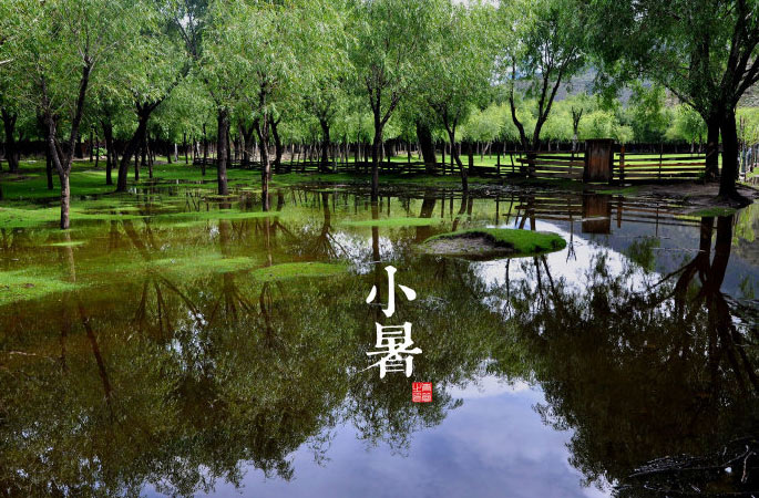 二十四节气图242 / 作者:懒猫猫 / 帖子ID:18550