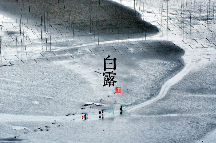 二十四节气图395 / 作者:懒猫猫 / 帖子ID:18550