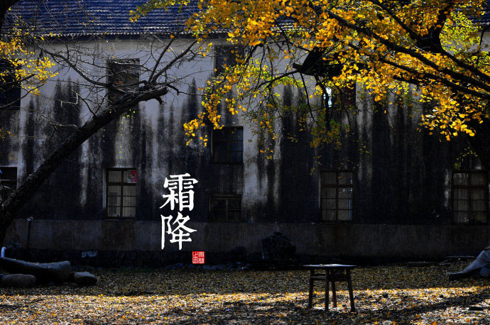 二十四节气图938 / 作者:懒猫猫 / 帖子ID:18550