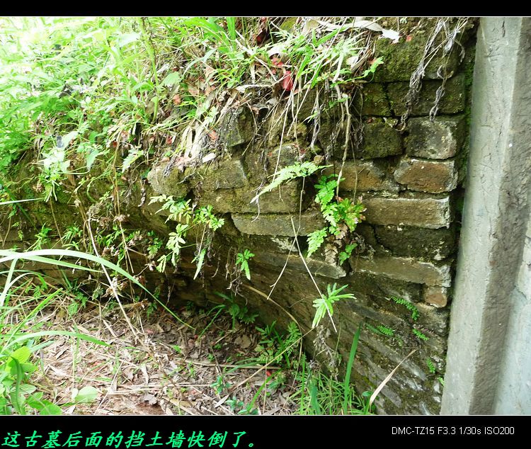 我县有座墓碑安在后面的古墓。307 / 作者:平安大叔 / 帖子ID:18692