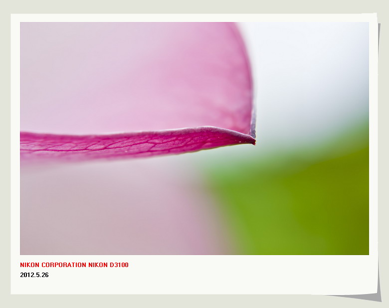 邓扒赏荷&lt;2012.5.26&gt;729 / 作者:講不醜 / 帖子ID:18699