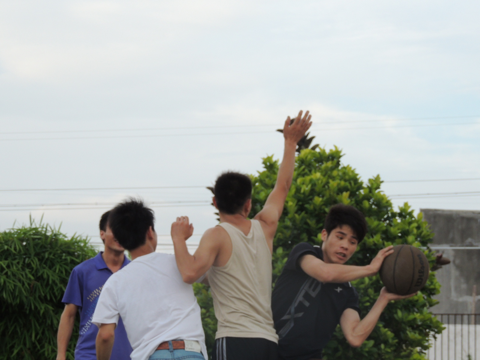 广西版NBA802 / 作者:天涯孤独客 / 帖子ID:18705
