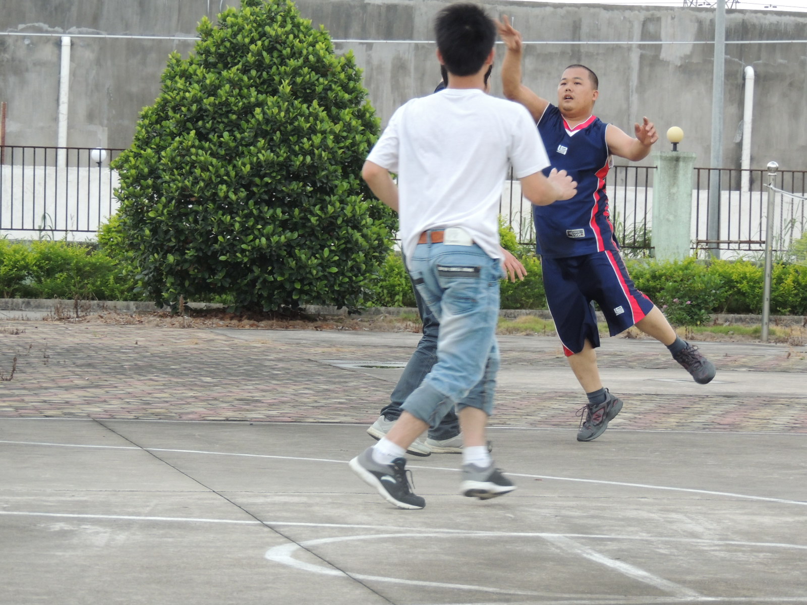 广西版NBA255 / 作者:天涯孤独客 / 帖子ID:18705