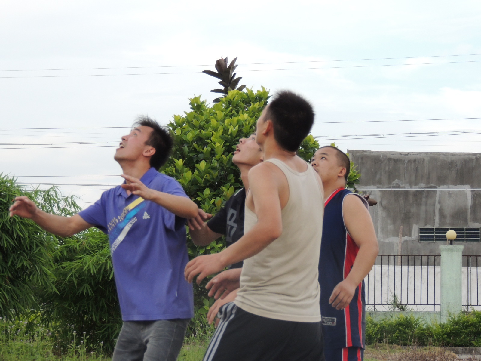 广西版NBA153 / 作者:天涯孤独客 / 帖子ID:18705