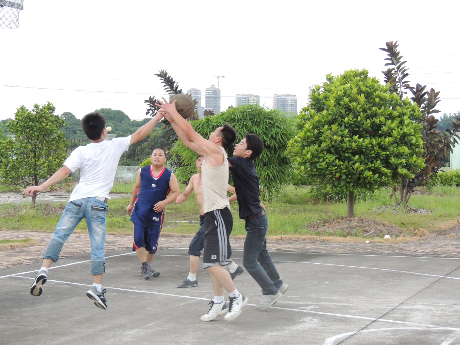 广西版NBA447 / 作者:天涯孤独客 / 帖子ID:18705