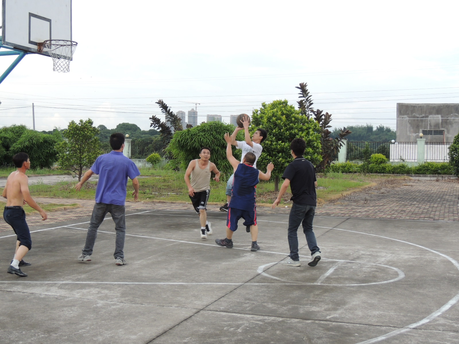 广西版NBA587 / 作者:天涯孤独客 / 帖子ID:18705