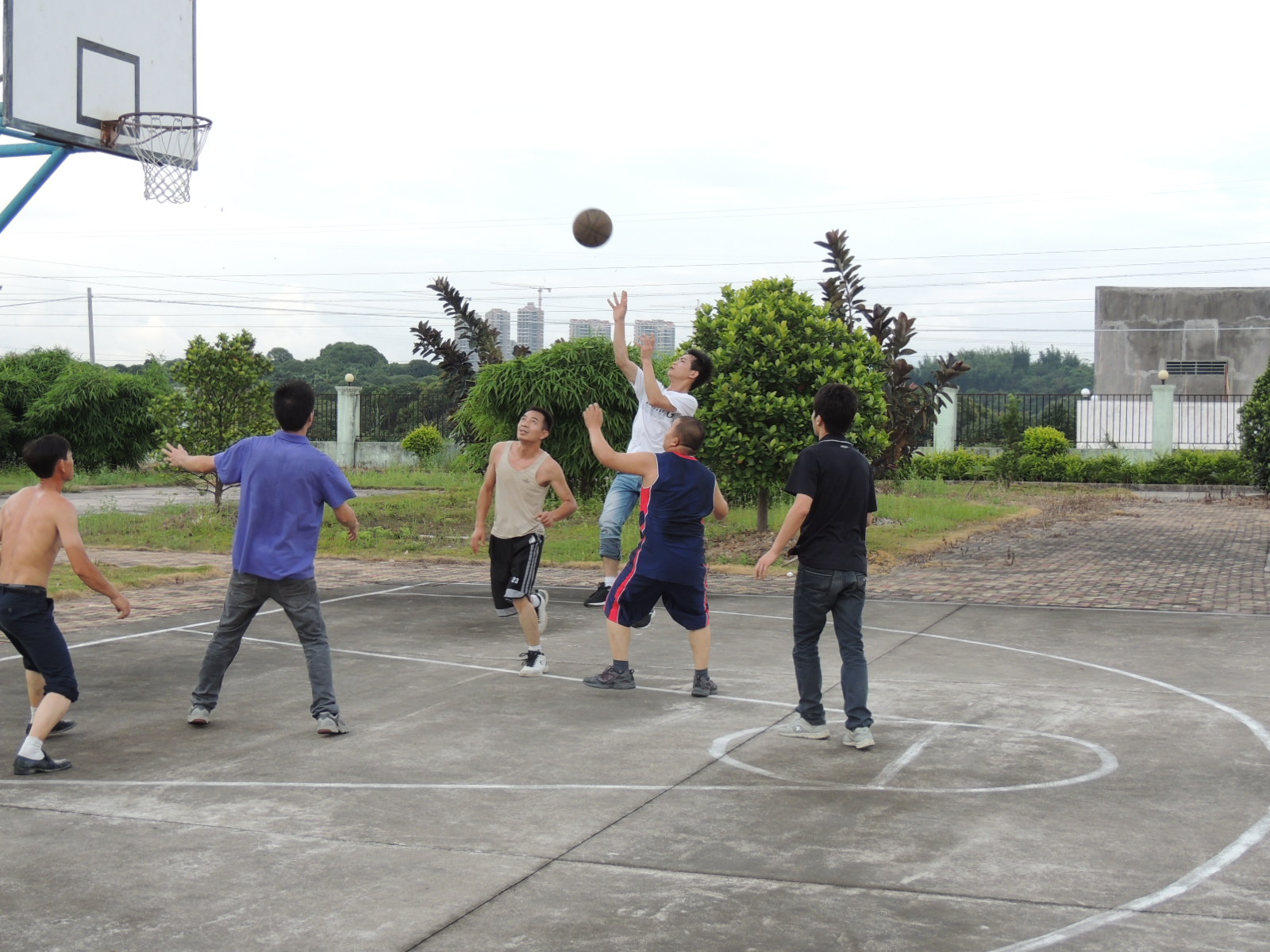 广西版NBA380 / 作者:天涯孤独客 / 帖子ID:18705