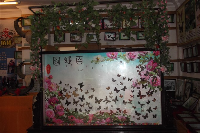 阳朔一日游867 / 作者:彼岸行走的花 / 帖子ID:18797