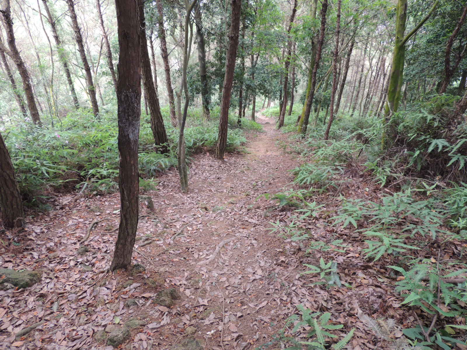 那条美丽的山路214 / 作者:天涯孤独客 / 帖子ID:18857