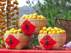 恭城月柿：皮薄红软甜如蜜917 / 作者:茶城路人 / 帖子ID:18897