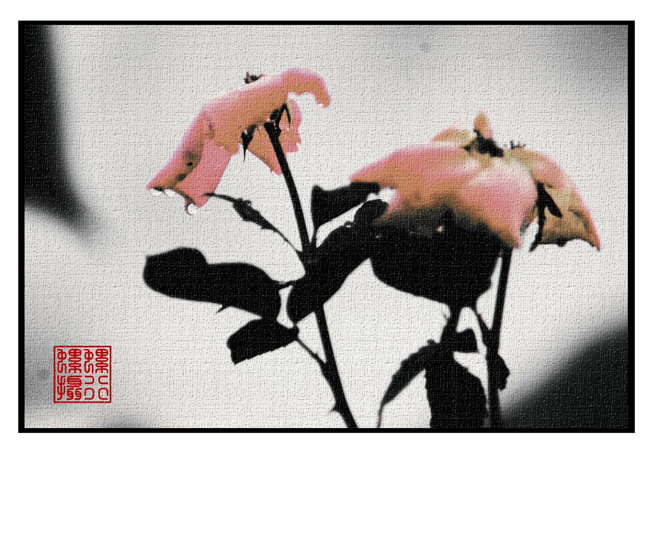 残686 / 作者:螺行螺摄 / 帖子ID:19037