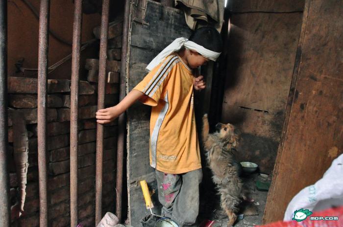 古有卖身葬父，如今也能上演，是倒退还是开眼310 / 作者:翠峰紫阳 / 帖子ID:19204