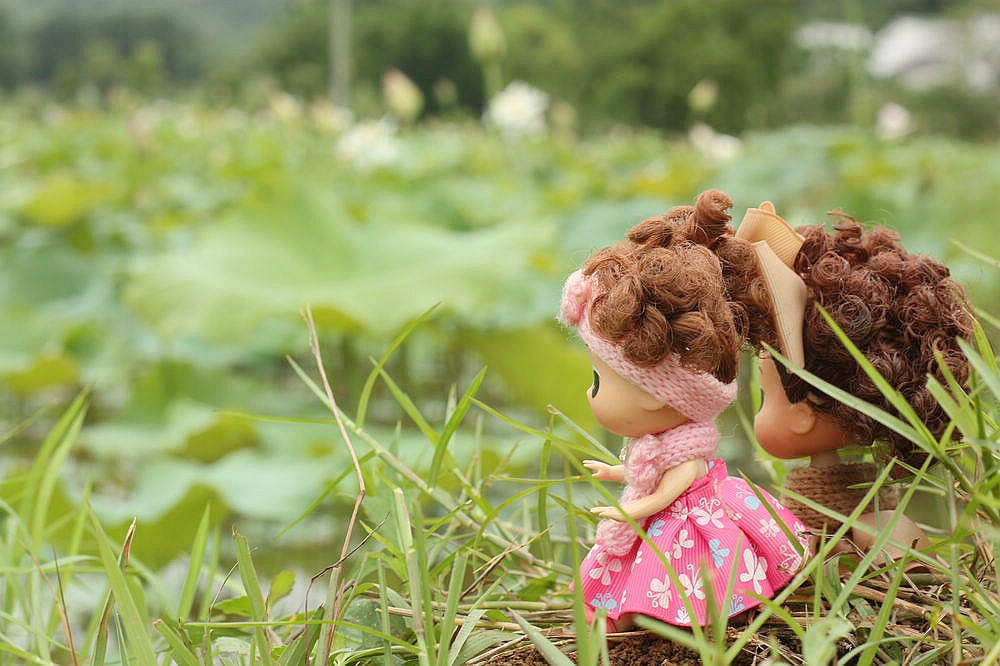 童话：小姐妹的世外荷塘（重新发片，后期过的）960 / 作者:madchan / 帖子ID:19136