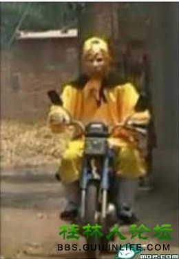 悟空没法了158 / 作者:否定一切 / 帖子ID:19239