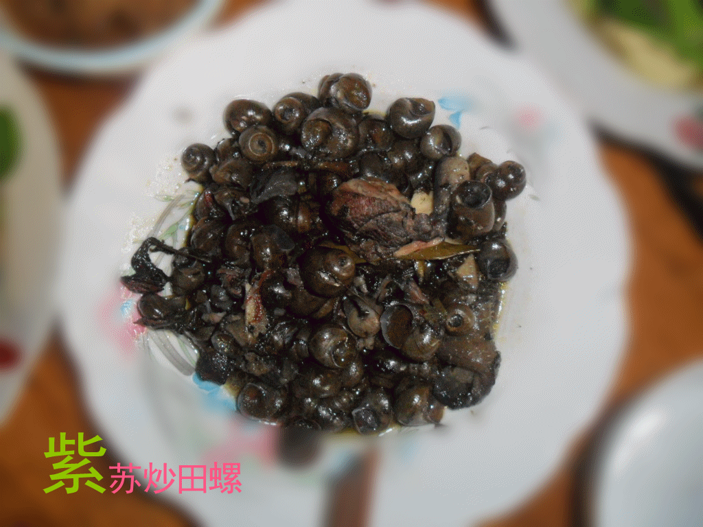 24K纯爷们---钟大厨师中午请客839 / 作者:半指温柔沙 / 帖子ID:19279