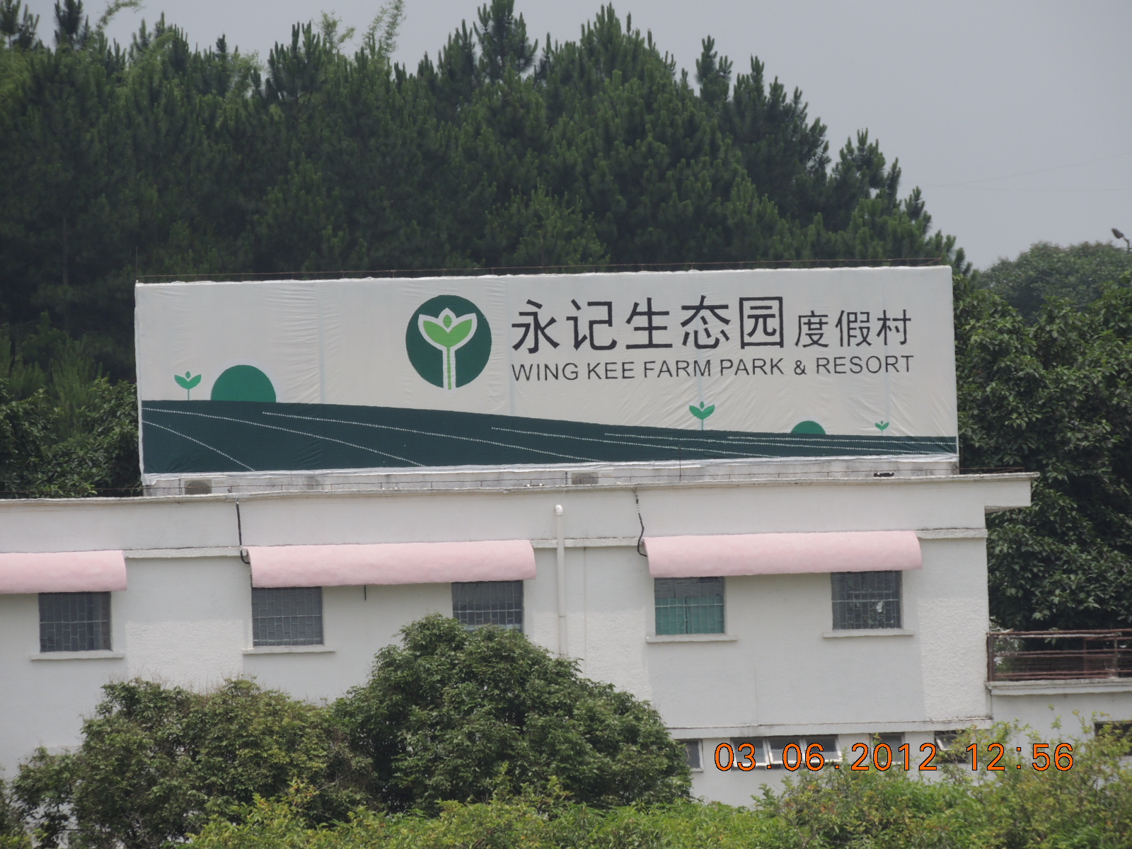 国际AAAA级永记生态示范园237 / 作者:天涯孤独客 / 帖子ID:19368
