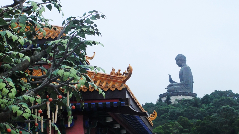 香港之旅~徒步凤凰径、露营无敌海景！第一批队员归来！521 / 作者:燕妮 / 帖子ID:19135