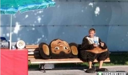 全球最让人崩溃的工作299 / 作者:火星娃崽 / 帖子ID:19473