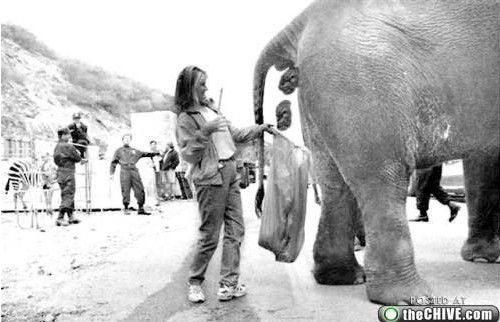 全球最让人崩溃的工作870 / 作者:火星娃崽 / 帖子ID:19473