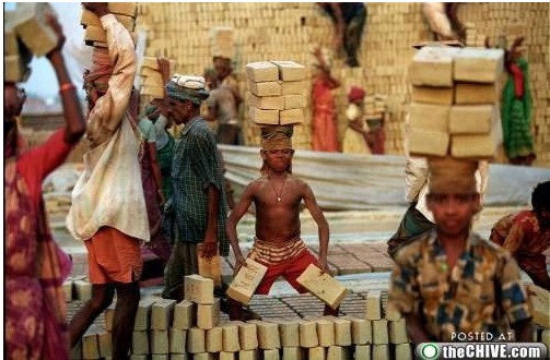 全球最让人崩溃的工作284 / 作者:火星娃崽 / 帖子ID:19473