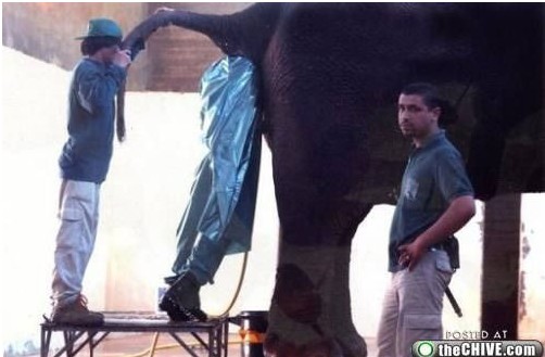 全球最让人崩溃的工作288 / 作者:火星娃崽 / 帖子ID:19473