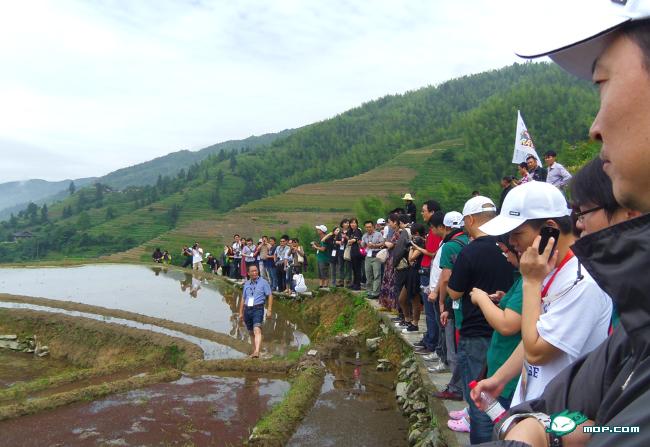 秀美龙脊梯田，新生活体验之旅758 / 作者:鲤鱼渡 / 帖子ID:19500