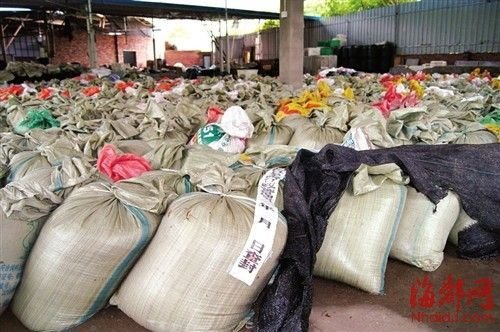 福建查获35吨致癌金针菇 老板称自家产的不敢吃544 / 作者:小雨点 / 帖子ID:19539