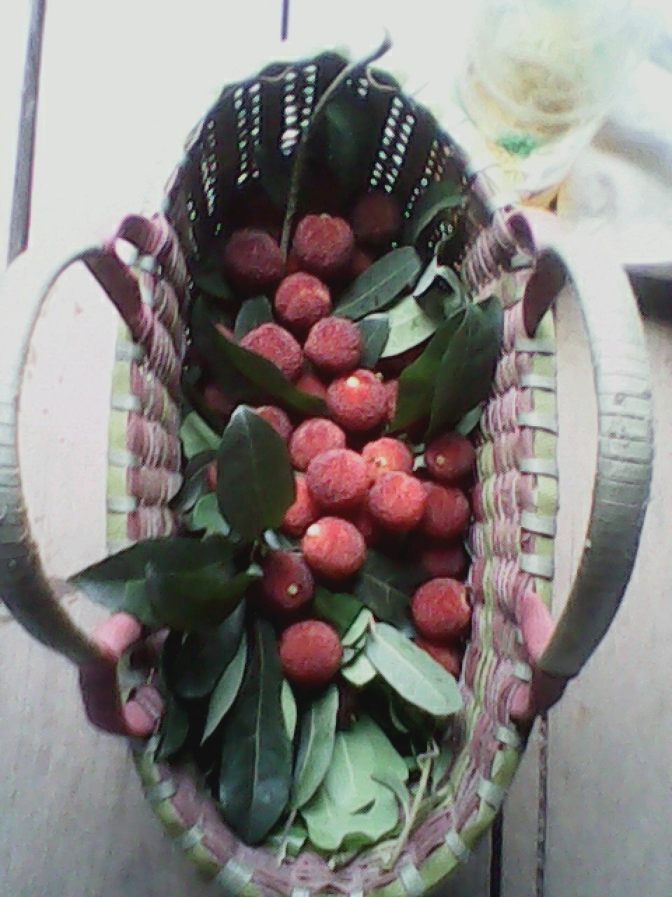 杨梅852 / 作者:137222475 / 帖子ID:19568