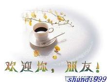 第31节：送你一盏灯，请买我的油(2)317 / 作者:小雨点 / 帖子ID:5702
