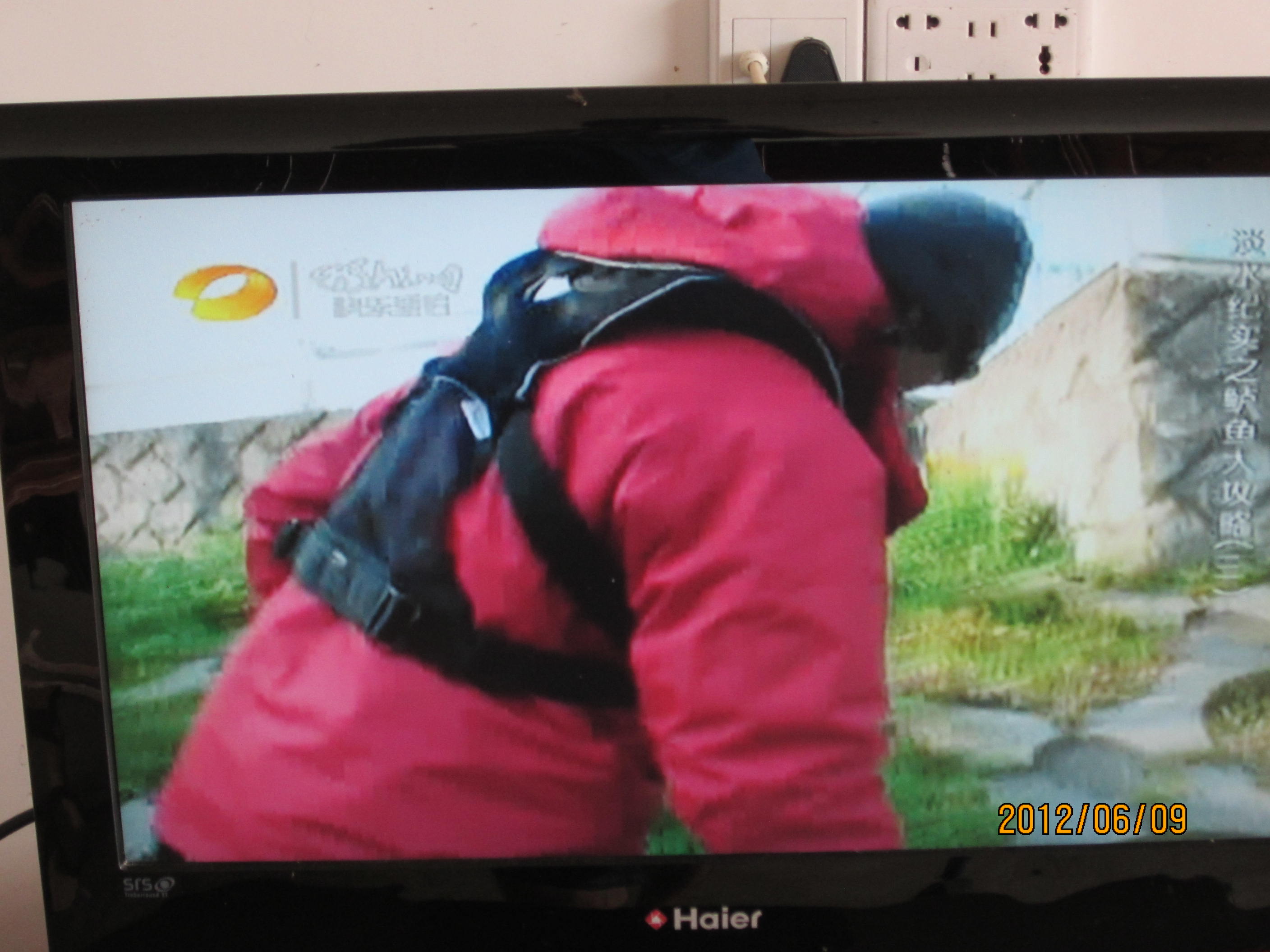 我收到的网络卫视节目610 / 作者:桂鱼 / 帖子ID:19846