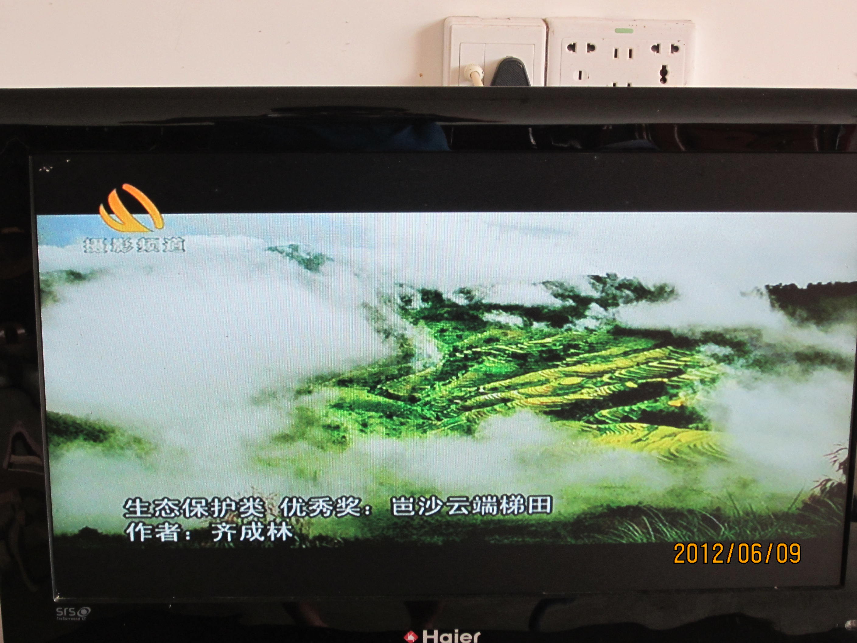 我收到的网络卫视节目195 / 作者:桂鱼 / 帖子ID:19846