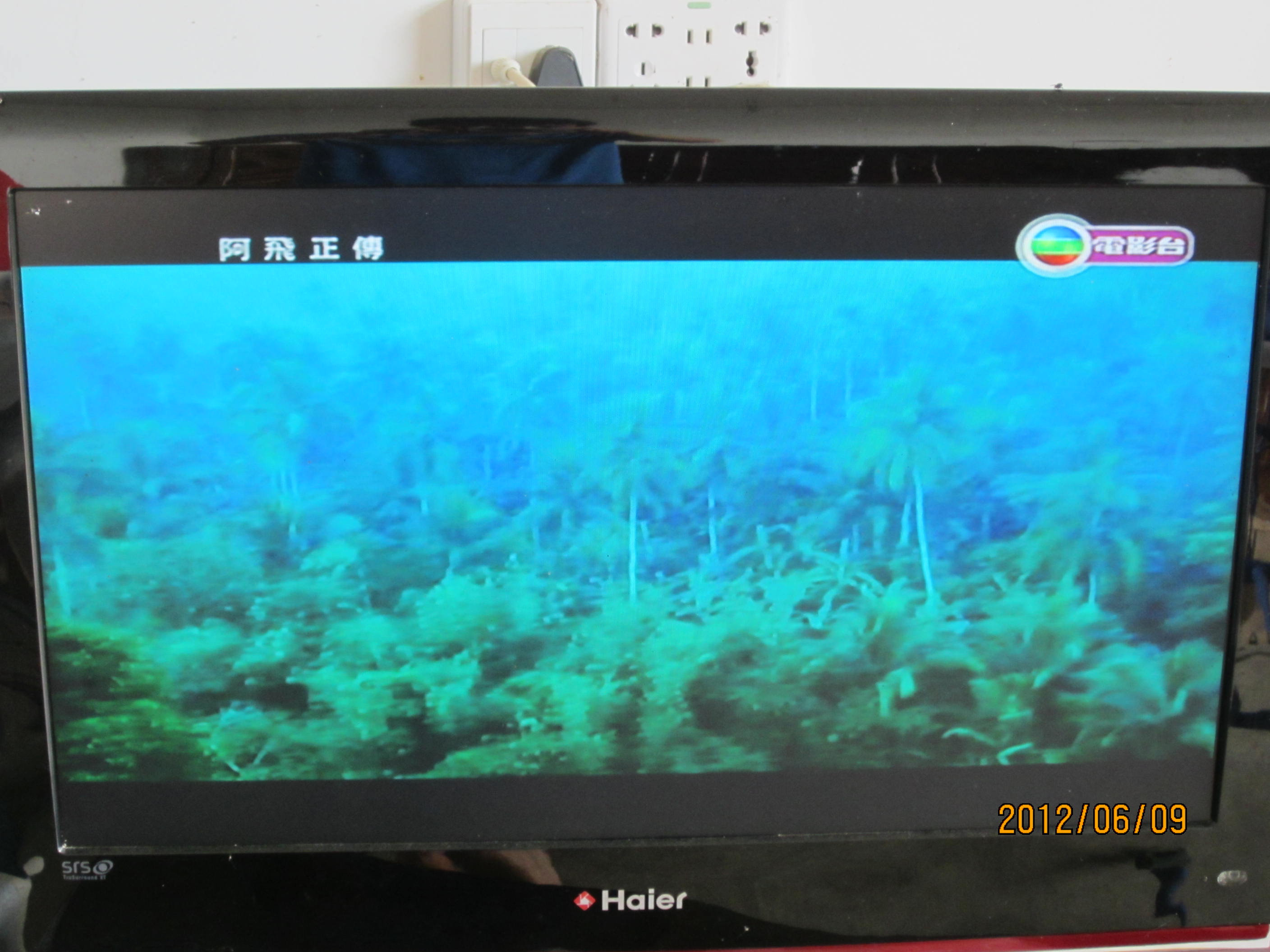 我收到的网络卫视节目312 / 作者:桂鱼 / 帖子ID:19846